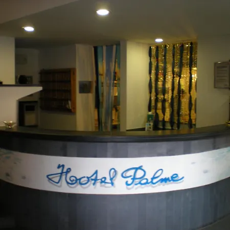 Hotel Palme-2